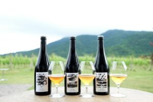 カーブドッチワイナリーが造るクラフトビールの新シリーズ「Croix -クロワ-」発売