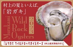 村上の海が育む“絶品天然岩ガキ”を楽しむイベント「ムラカミ ワイルドロックオイスターズ」開催中