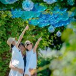 ~8/27(日)まで! 夏の見附を楽しもう「サマーディスプレイ inみつけイングリッシュガーデン」開催