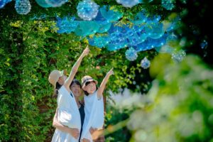 ~8/27(日)まで! 夏の見附を楽しもう「サマーディスプレイ inみつけイングリッシュガーデン」開催