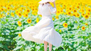 【津南町】7/28(金)～8/17(木) 夏の風物詩「津南ひまわり広場」開催！ 約50万本が咲く一面黄色の絶景