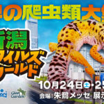 爬虫類・両生類が朱鷺メッセに大集合！「新潟レプタイルズワールド」10/24(土)25(日)開催