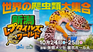 爬虫類・両生類が朱鷺メッセに大集合!「新潟レプタイルズワールド」10/24(土)25(日)開催