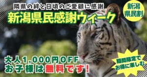 【新潟県民限定】群馬サファリパークで子ども入園無料!大人も1,000円引きの県民割を10/10(土)から実施